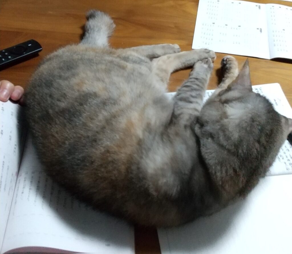 今日が人生で一番若い日！ブログと株式投資を始めます