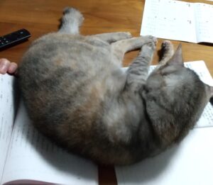 今日が人生で一番若い日！ブログと株式投資を始めます
