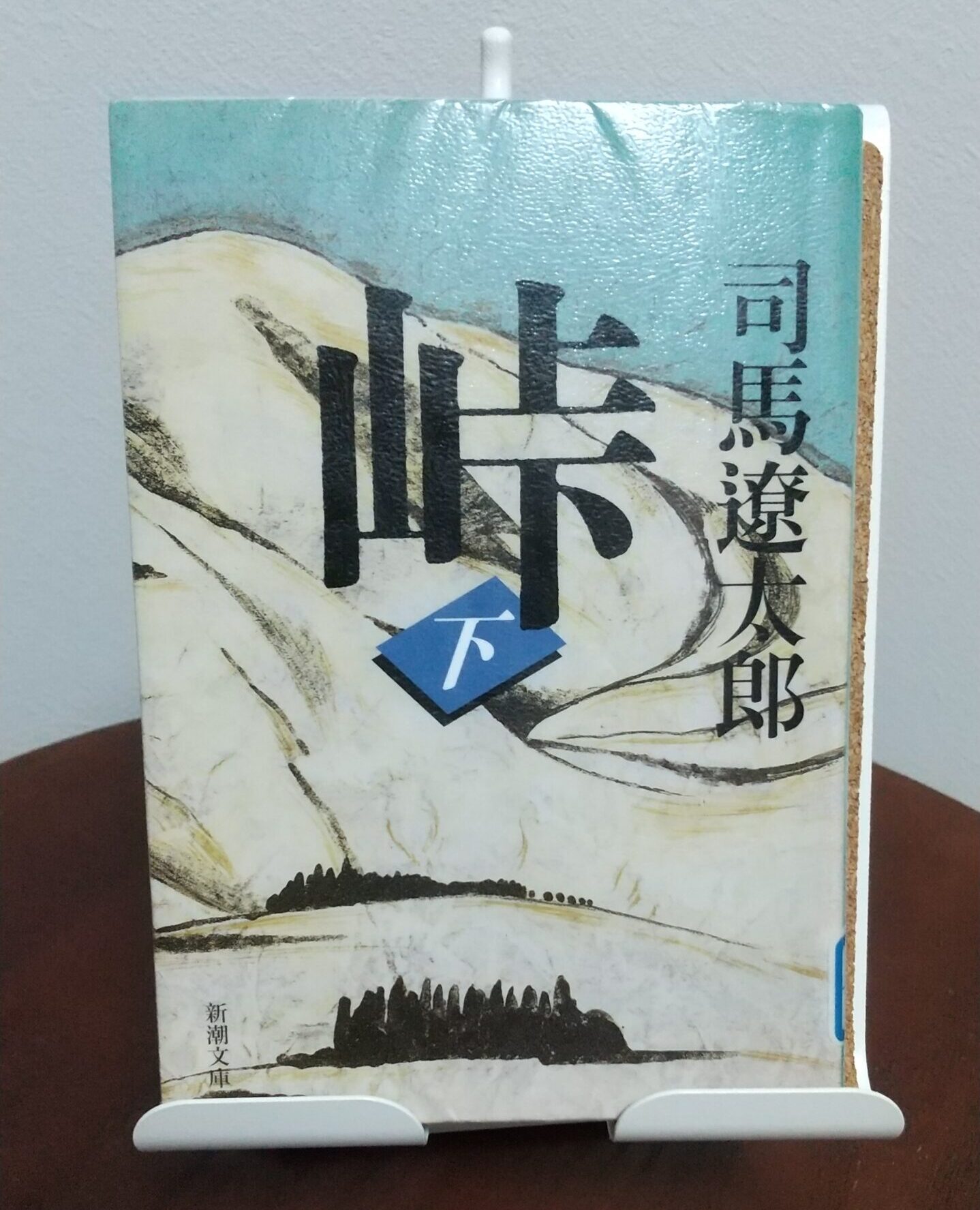 読書感想文!「峠 上・中・下巻」