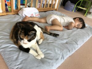 普通のサラリーマンの株式資産公開(6か月目)