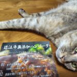 【ふるさと納税】肉汁出すぎ！近江牛ハンバーグを推す！【滋賀県竜王町】【ポイント付与は9月一杯！】