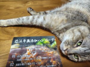 【ふるさと納税】肉汁出すぎ！近江牛ハンバーグを推す！【滋賀県竜王町】【ポイント付与は9月一杯！】