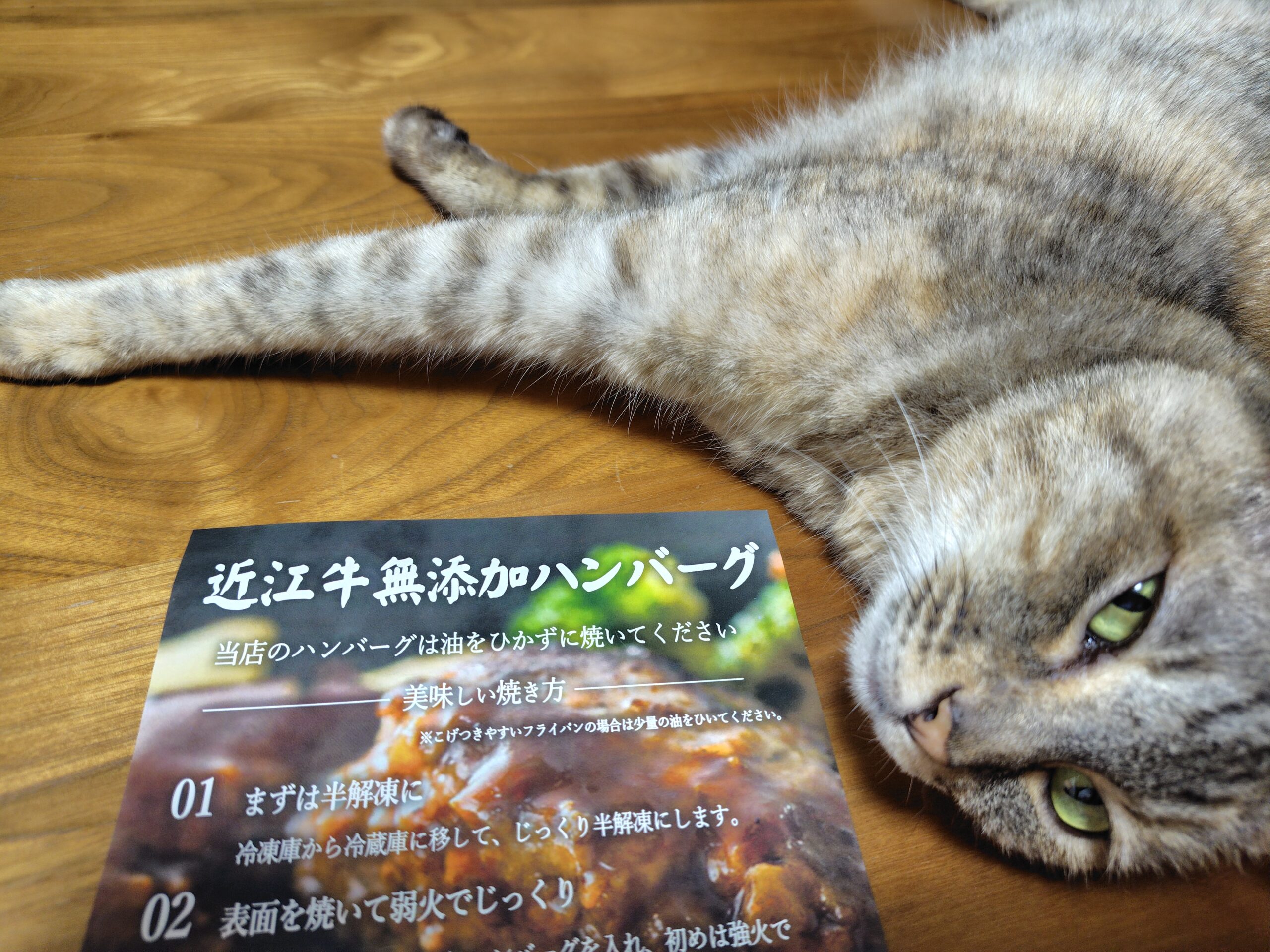 【ふるさと納税】肉汁出すぎ！近江牛ハンバーグを推す！【滋賀県竜王町】【ポイント付与は9月一杯！】