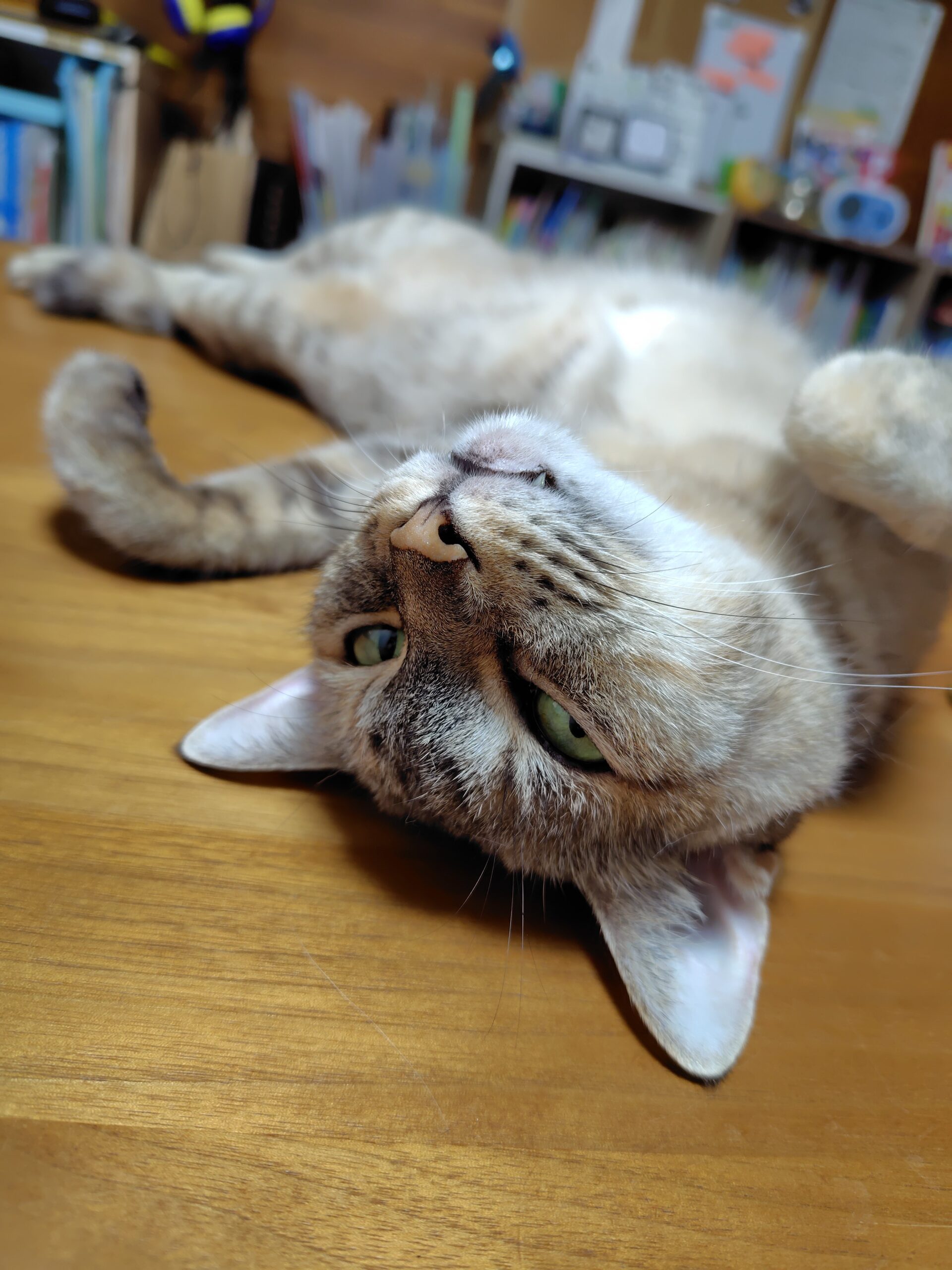 普通のサラリーマンの株式資産公開(5か月目)