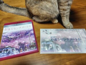 【アニメ映画】「あなたはきっと大丈夫」秒速5センチメートルのお話【新海誠】