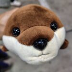 【香川ファイブアローズ】市場水族館に行って選手達と交流して来たぞ！