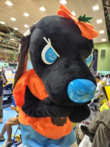 徳島ガンバロウズVS香川ファイブアローズ GAME2観戦記　2025-2026レギュラーシーズン第3節