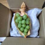 【ふるさと納税】今年最後のふるさと納税返礼品・シャインマスカットが届きました【長野県中野市】