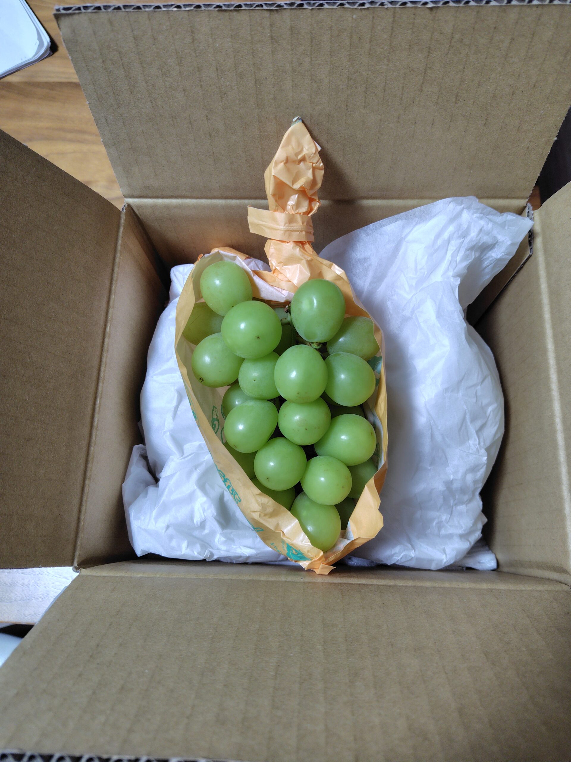 【ふるさと納税】今年最後のふるさと納税返礼品・シャインマスカットが届きました【長野県中野市】