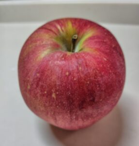 【シナノスイート】信州高山さわやかりんごはお取り寄せする価値があります【断言】