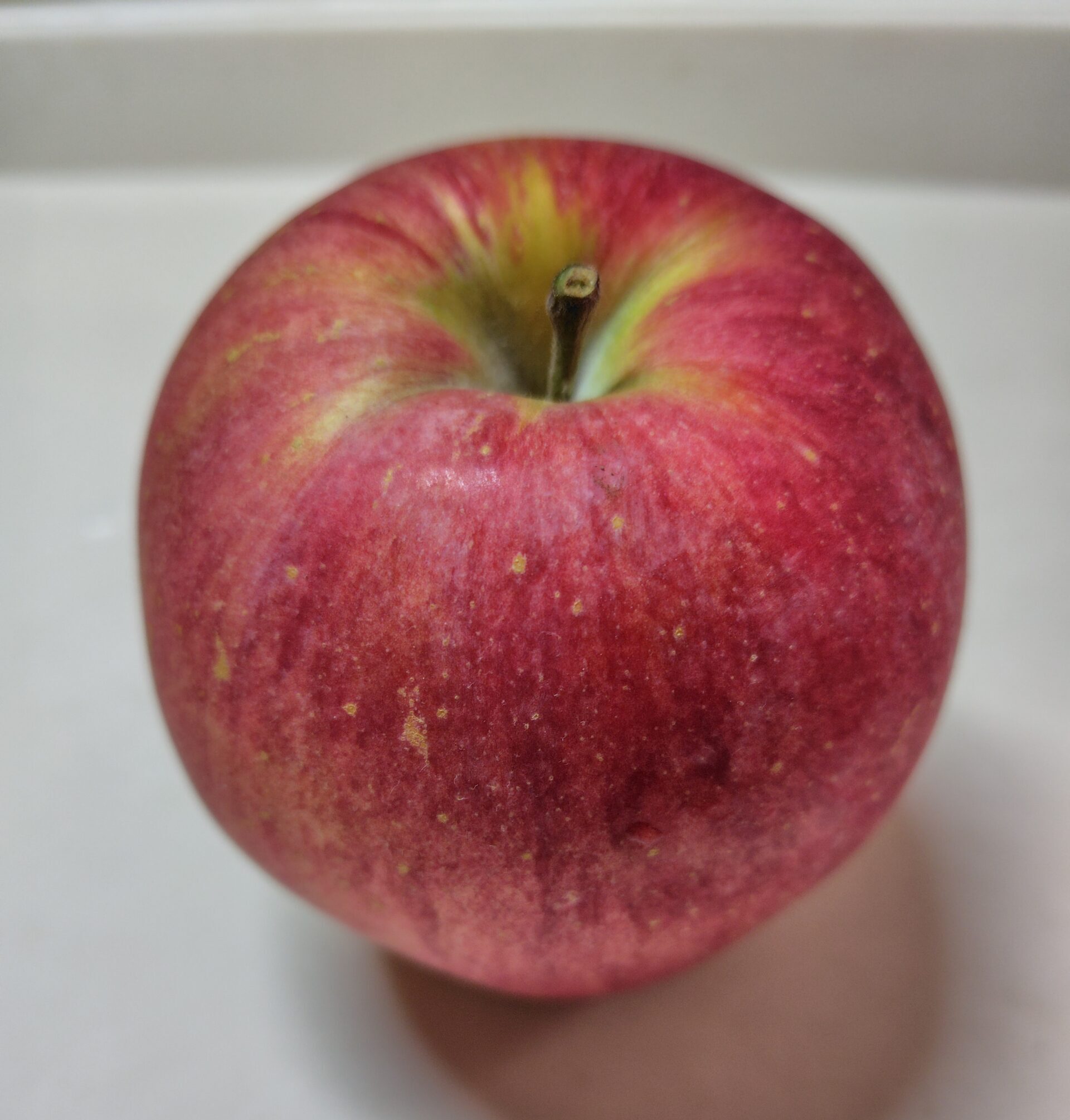 【シナノスイート】信州高山さわやかりんごはお取り寄せする価値があります【断言】