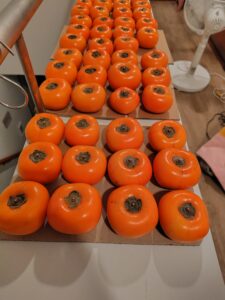 柿は過小評価されている【八珍柿】