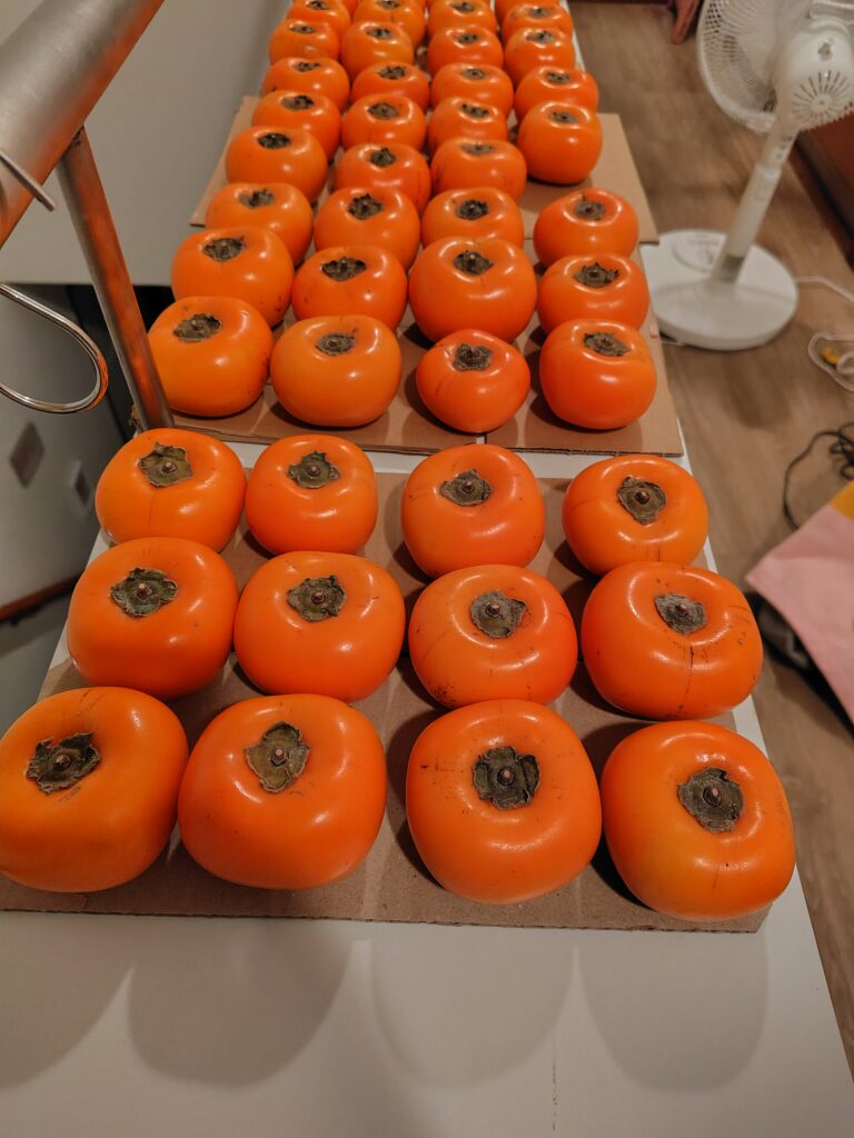 柿は過小評価されている【八珍柿】