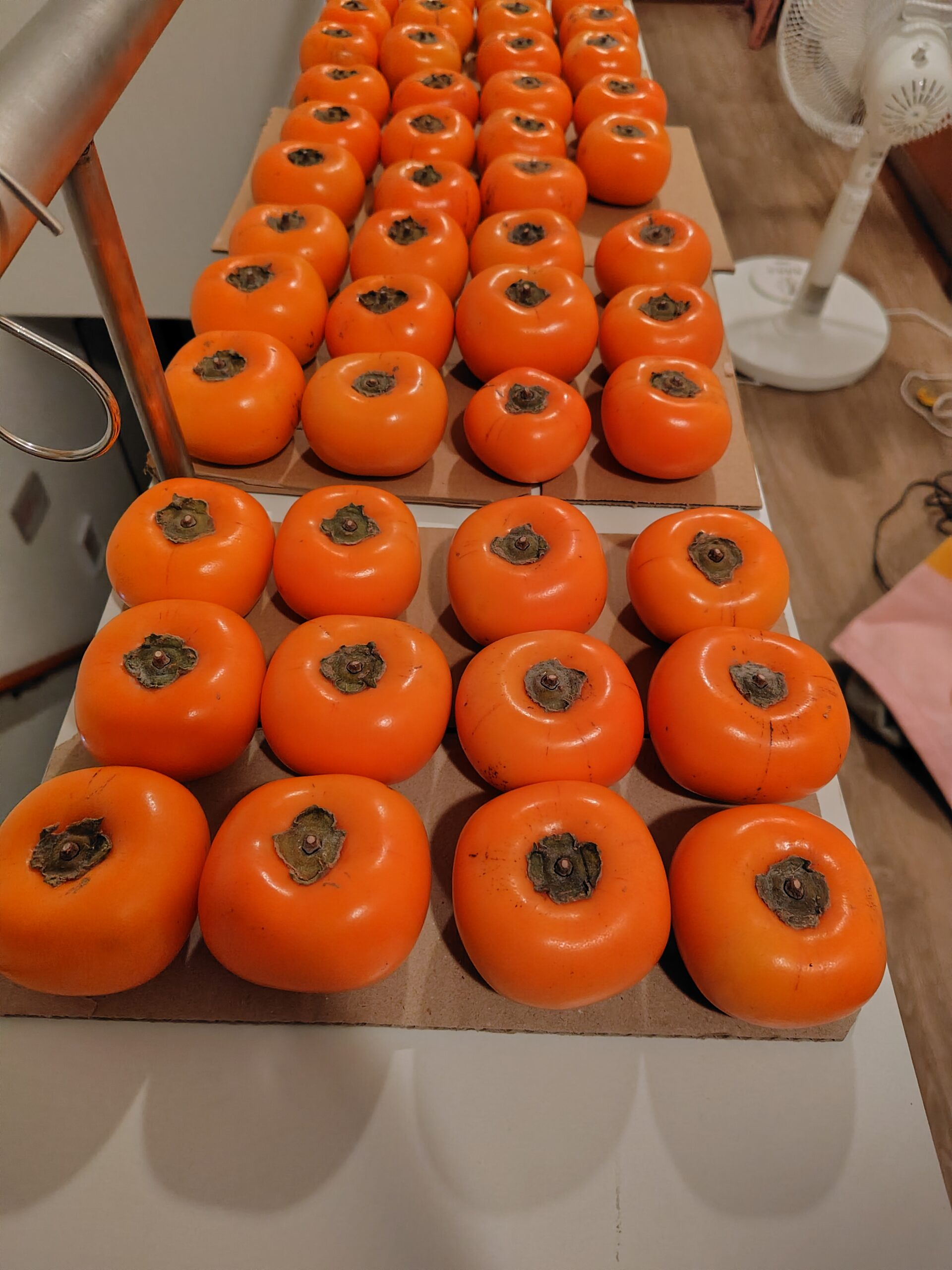 柿は過小評価されている【八珍柿】