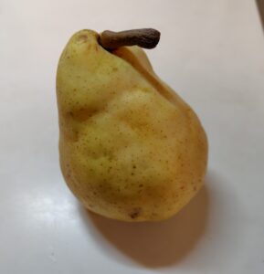 ル・レクチェという西洋梨のお話