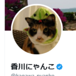 「X」のプレミアム会員になってみた