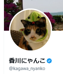 「X」のプレミアム会員になってみた