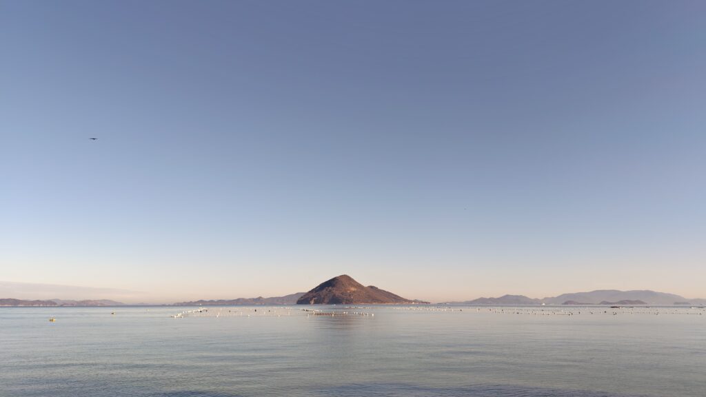 ランニングに「はまった」中年の末路【かがわマラソン】