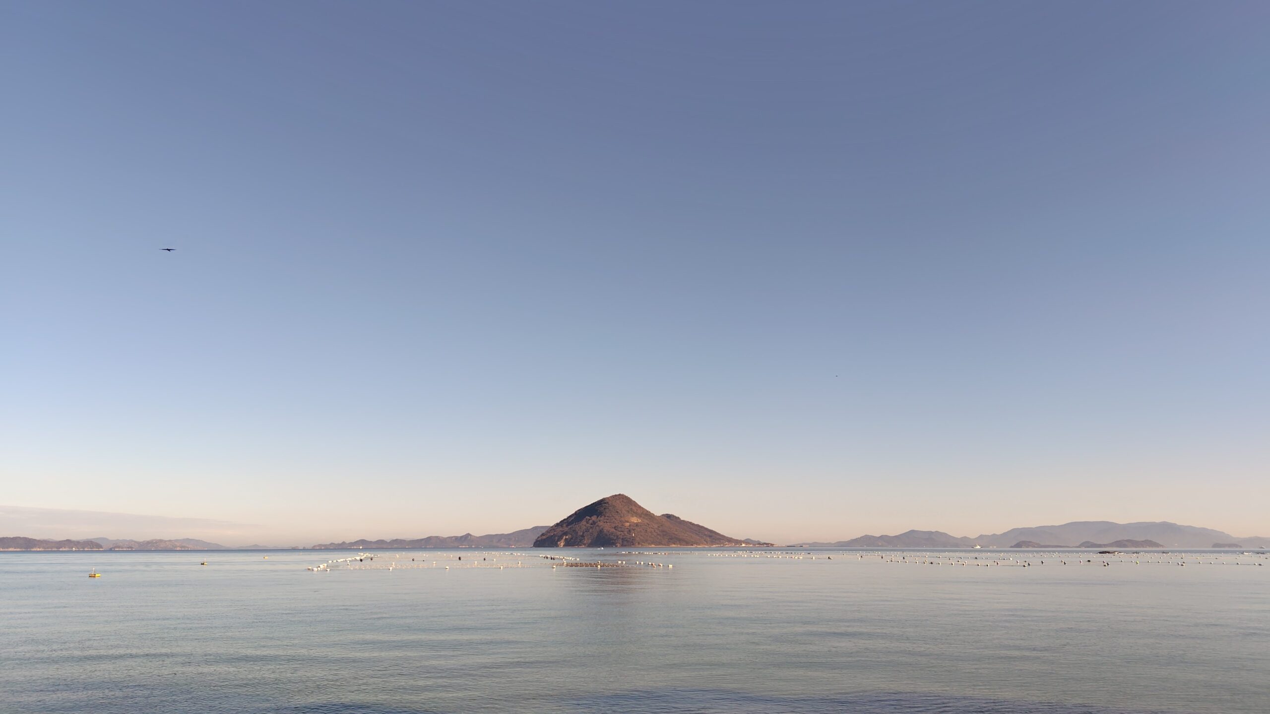 ランニングに「はまった」中年の末路【かがわマラソン】