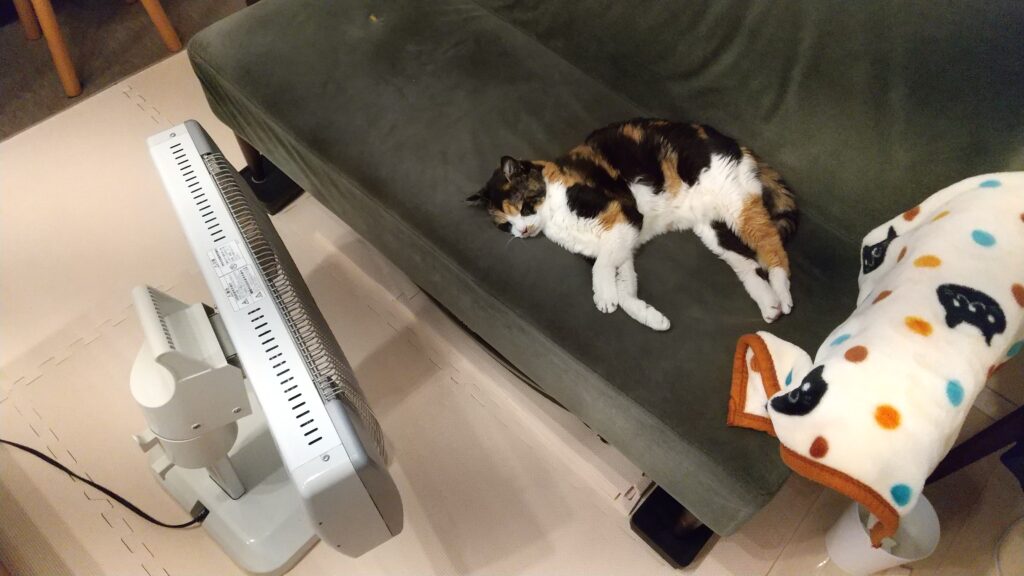 普通のサラリーマンの株式資産公開(10か月目)