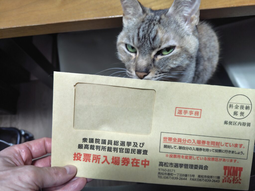 選挙に行こう！のお話