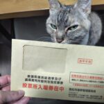 選挙に行こう！のお話