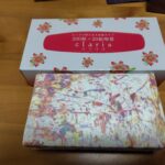 【ふるさと納税】大阪府泉佐野市のソフトパックティッシュと、栃木県小山市のクラリスティッシュボックスを比べてみる
