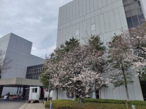 香川ファイブアローズVS湘南ユナイテッドBC GAME2観戦記 2025-2026レギュラーシーズン第27節