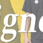 【香川ファイブアローズ】コーチ陣の契約情報が公開！東島奨さんが新ヘッドコーチに就任！籔さんはよく分からん役職に就いたぞ！