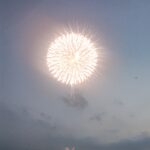 白菊と枝豆