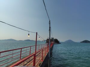 【8月4日・5日のみ】1年に2日だけ!津嶋神社へ参拝に行こう!【津島ノ宮駅】