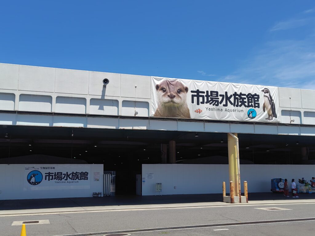 市場水族館へ行こう！【2026年9月28日閉館】