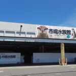 市場水族館へ行こう！【2026年9月28日閉館】