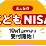 【こどもNISA】こどもNISA申請完了！と、久しぶりに息子の株式資産状況を見てみる【未成年口座】